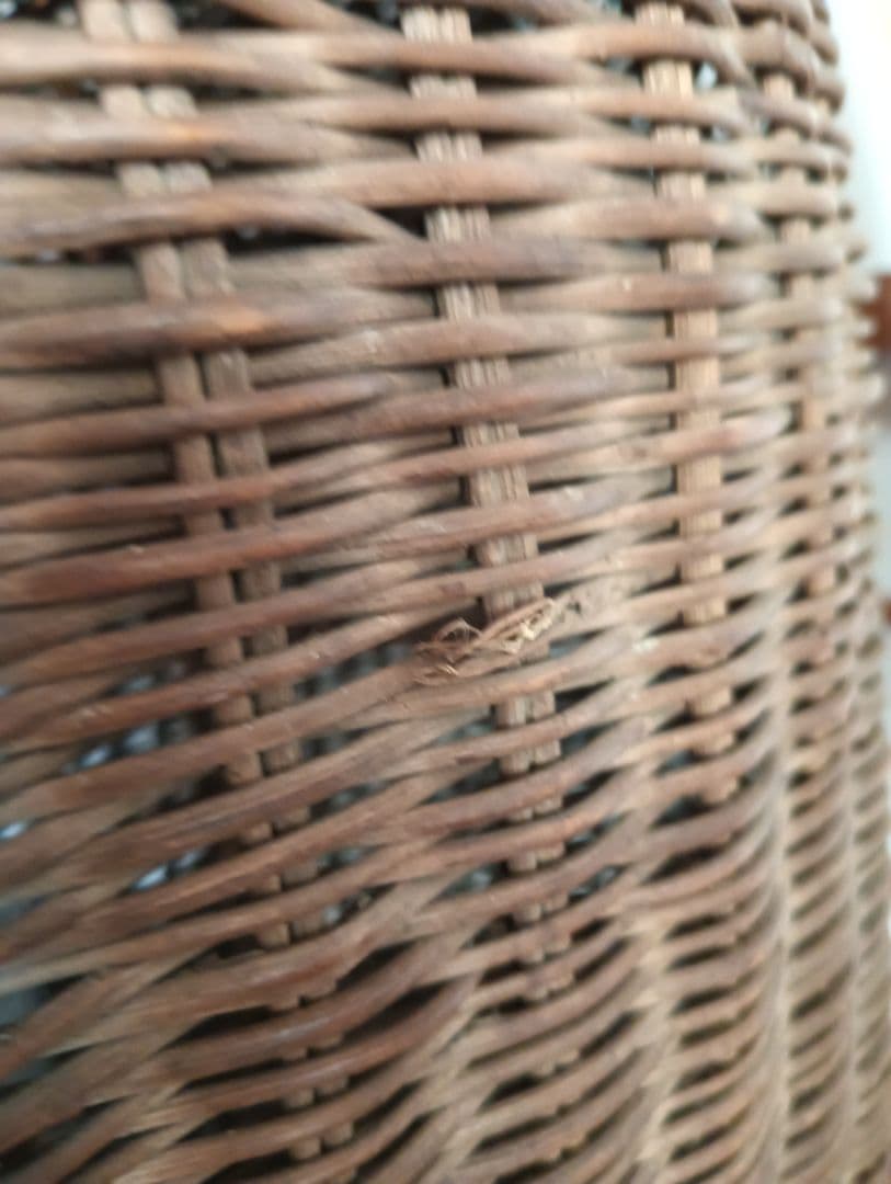 お取置7/16 古手の大きなあけび籠 　古民家　インテリア　古物　あけび籠