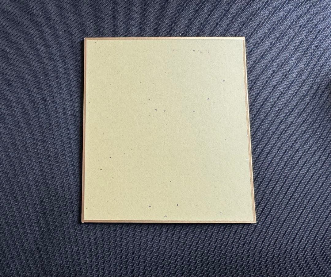 東方project レミリア&フラン姉妹の色紙