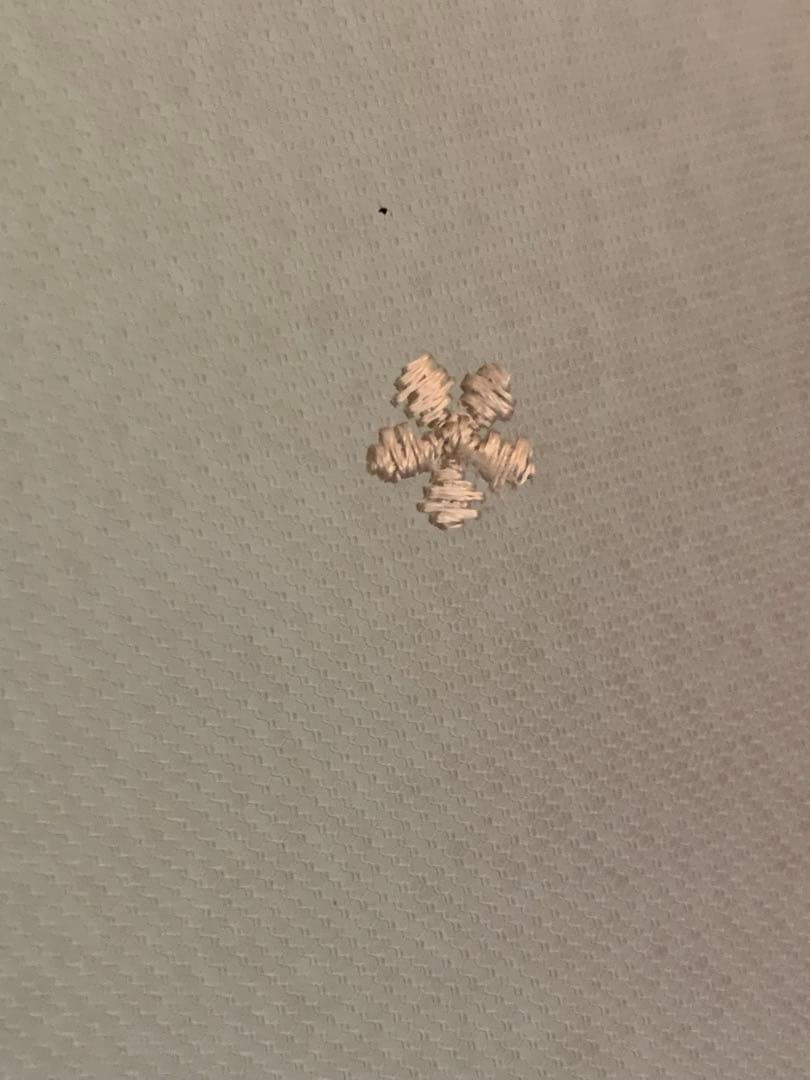 フランスアンティーク　レースの羽 チュールレース オブジェ