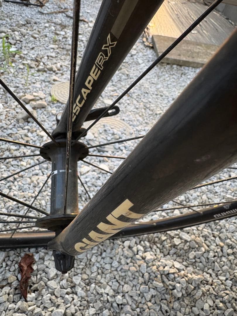 こっけ　　　　　　　　　　　GIANT ESCAPER X Mサイズ