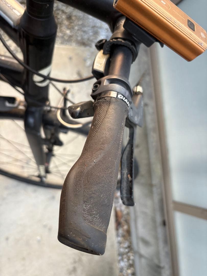 こっけ　　　　　　　　　　　GIANT ESCAPER X Mサイズ