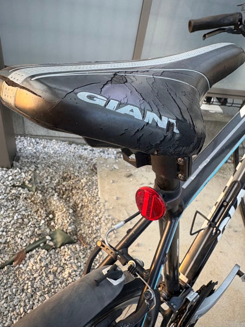 こっけ　　　　　　　　　　　GIANT ESCAPER X Mサイズ