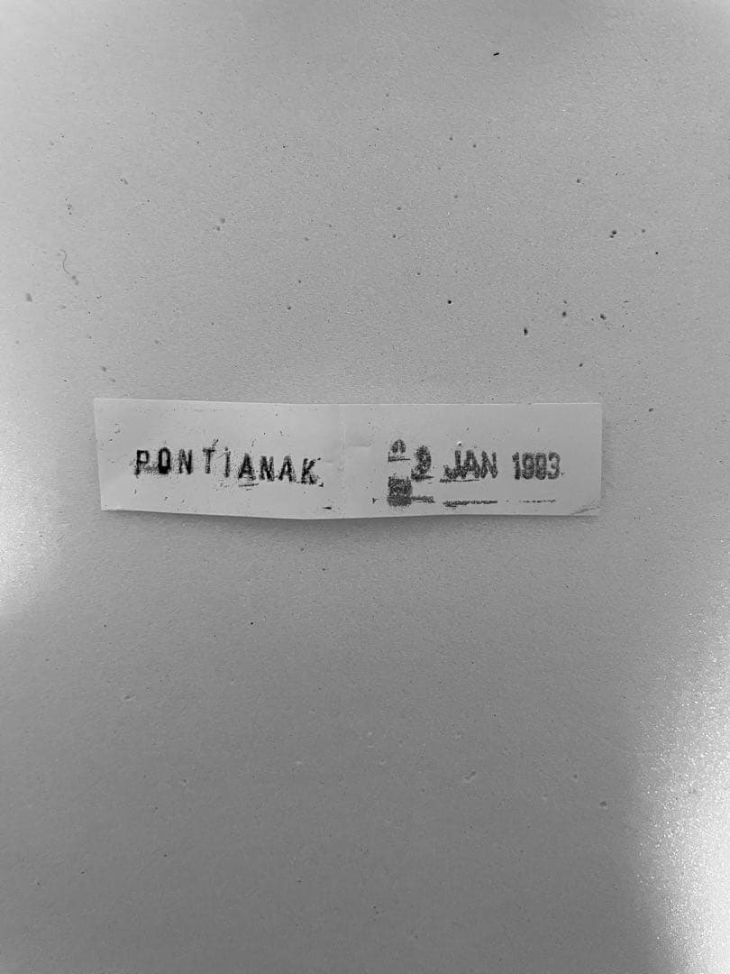 【ペア】ダンフォルティーフタオ（インドネシア産）