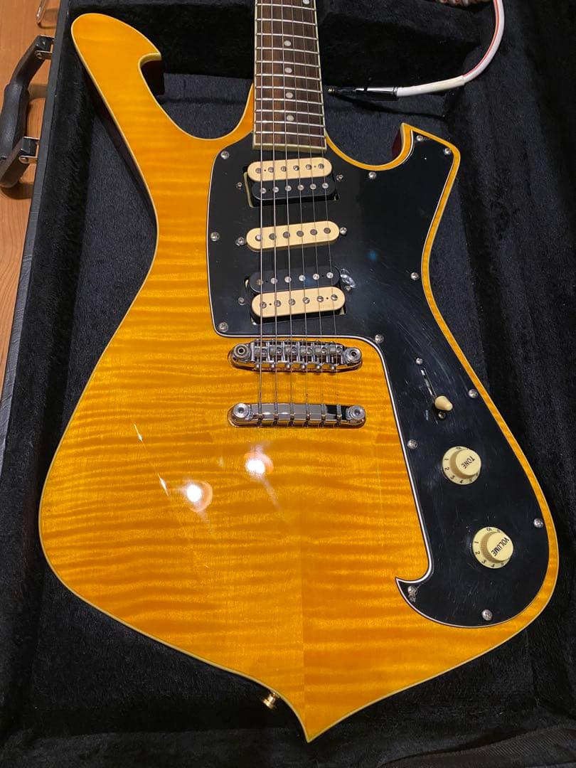 Ibanez アイバニーズFRM250MF ポールギルバート