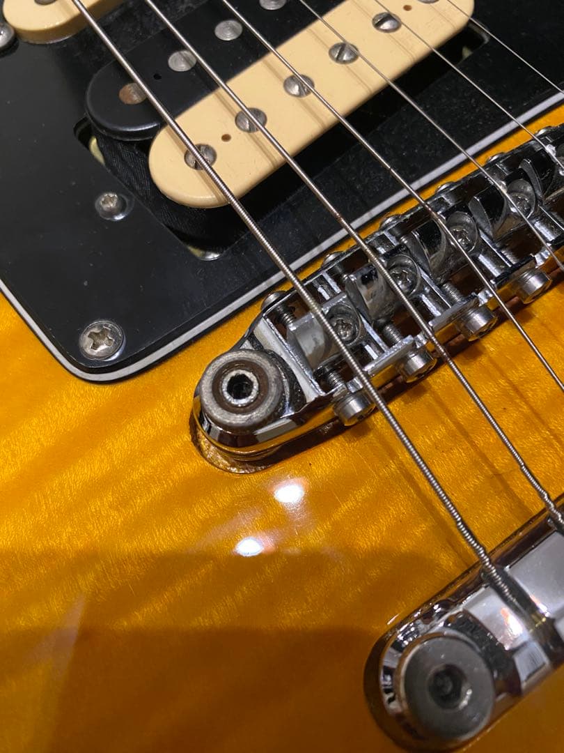 Ibanez アイバニーズFRM250MF ポールギルバート