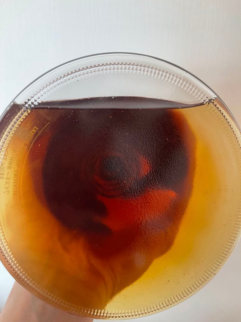 サントリーウイスキー 響 楽器ボトル ホルン型 500ml 43％