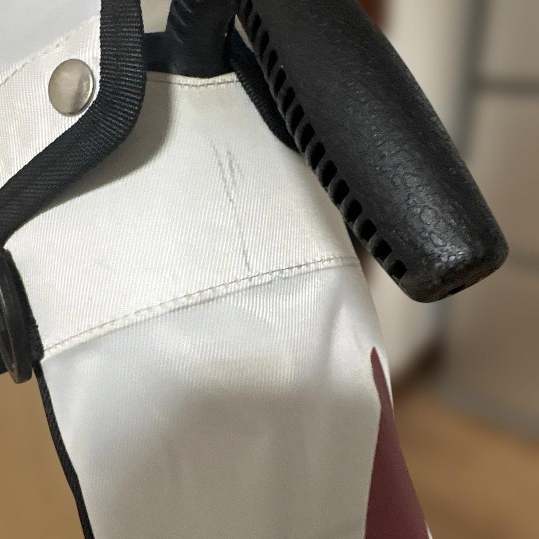 マスターバニーセルフスタンドバック