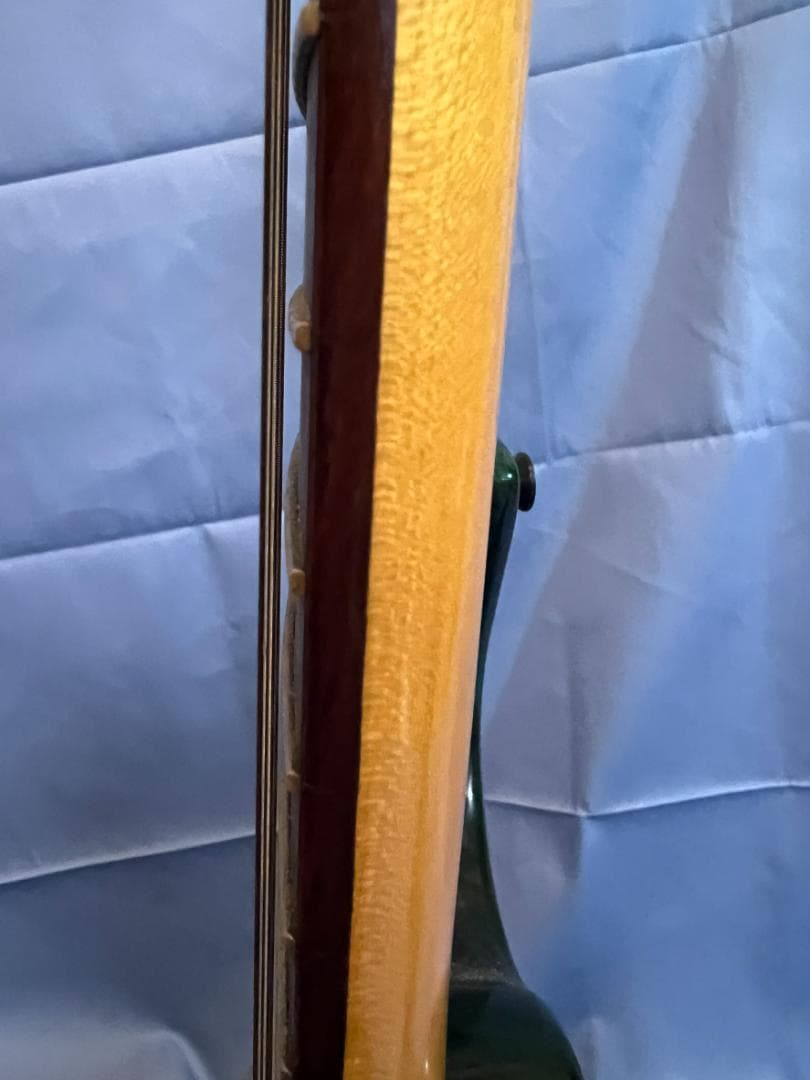 ギター PARKER P-38