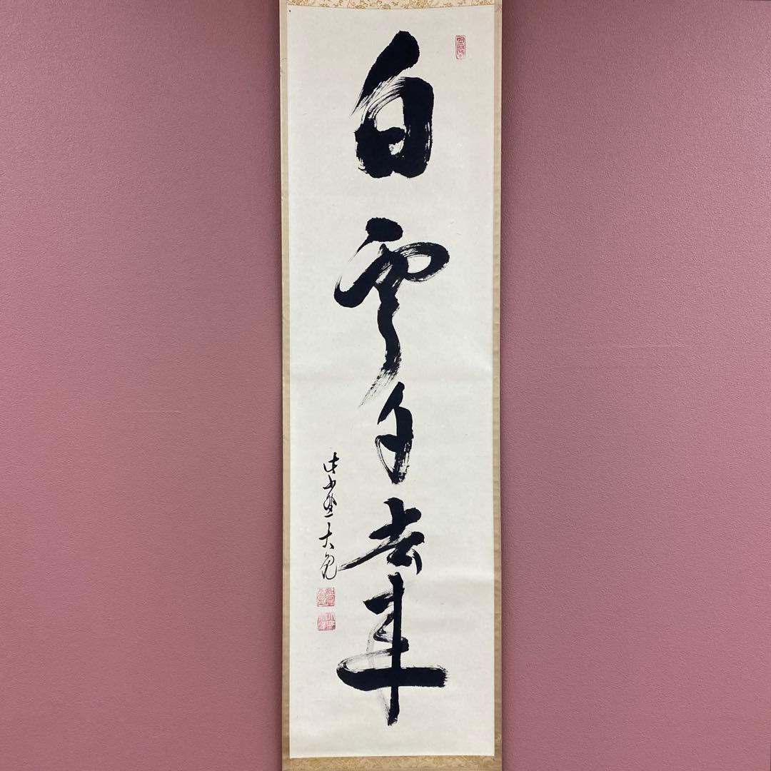 美品 掛け軸 大徳寺 立花大亀作「白雲自去来」共箱 中島静好堂表具 茶掛け
