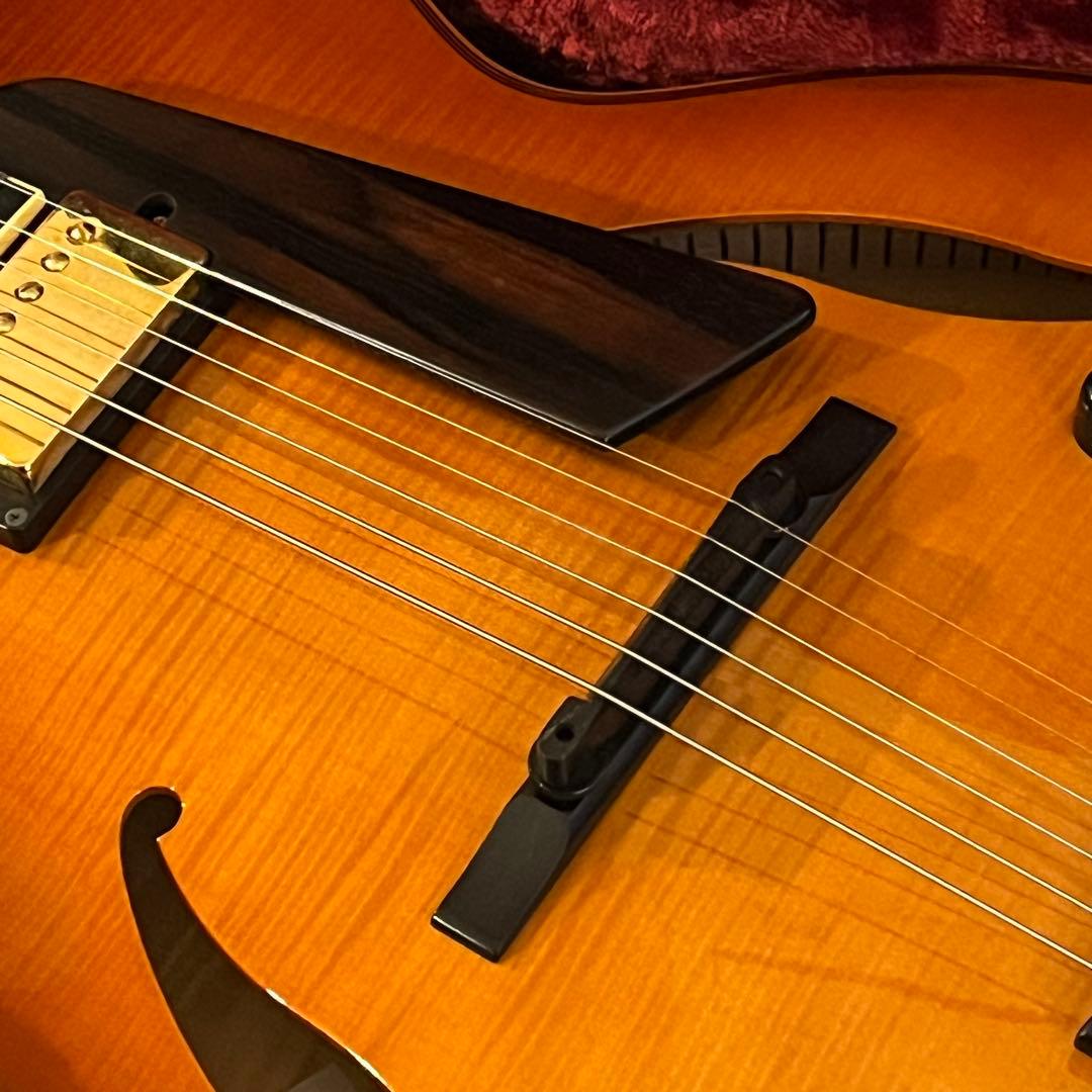 Sadowsky『Jim Hall Model』 フルアコ ジムホール