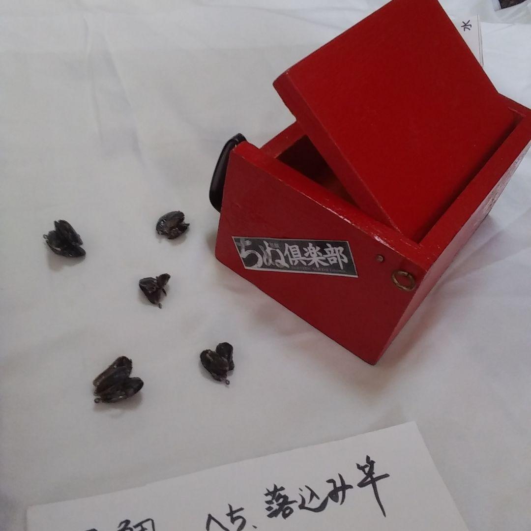 黒鯛　へち　落とし込み竿　3メートル