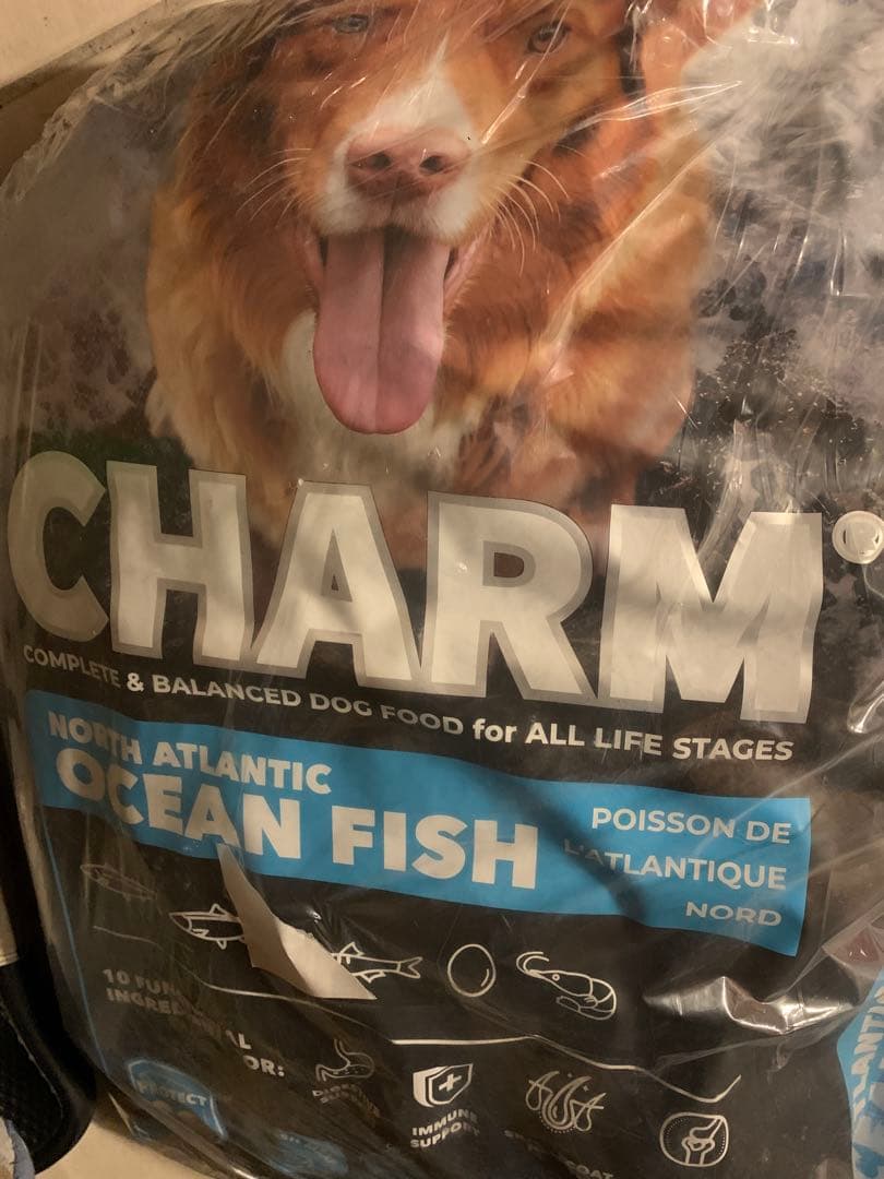 CHARM PROTECT10 チャーム プロテクト10 全年齢 10kg