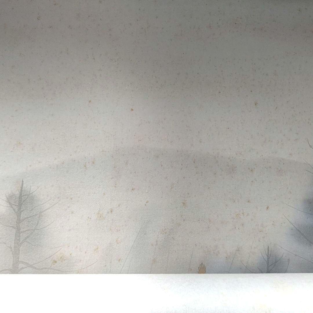 常寂光寺  掛軸  佐藤隆良  日本画