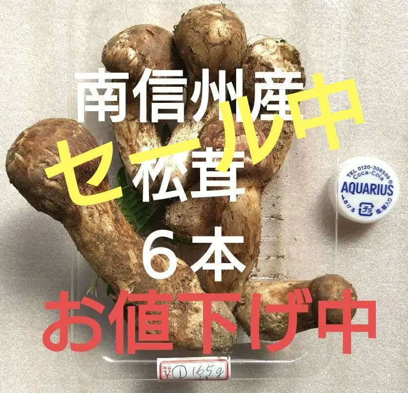 南信州産松茸165g（パック込み）