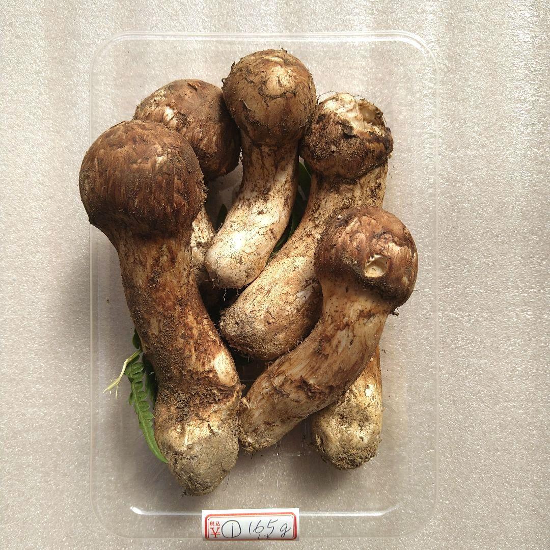 南信州産松茸165g（パック込み）