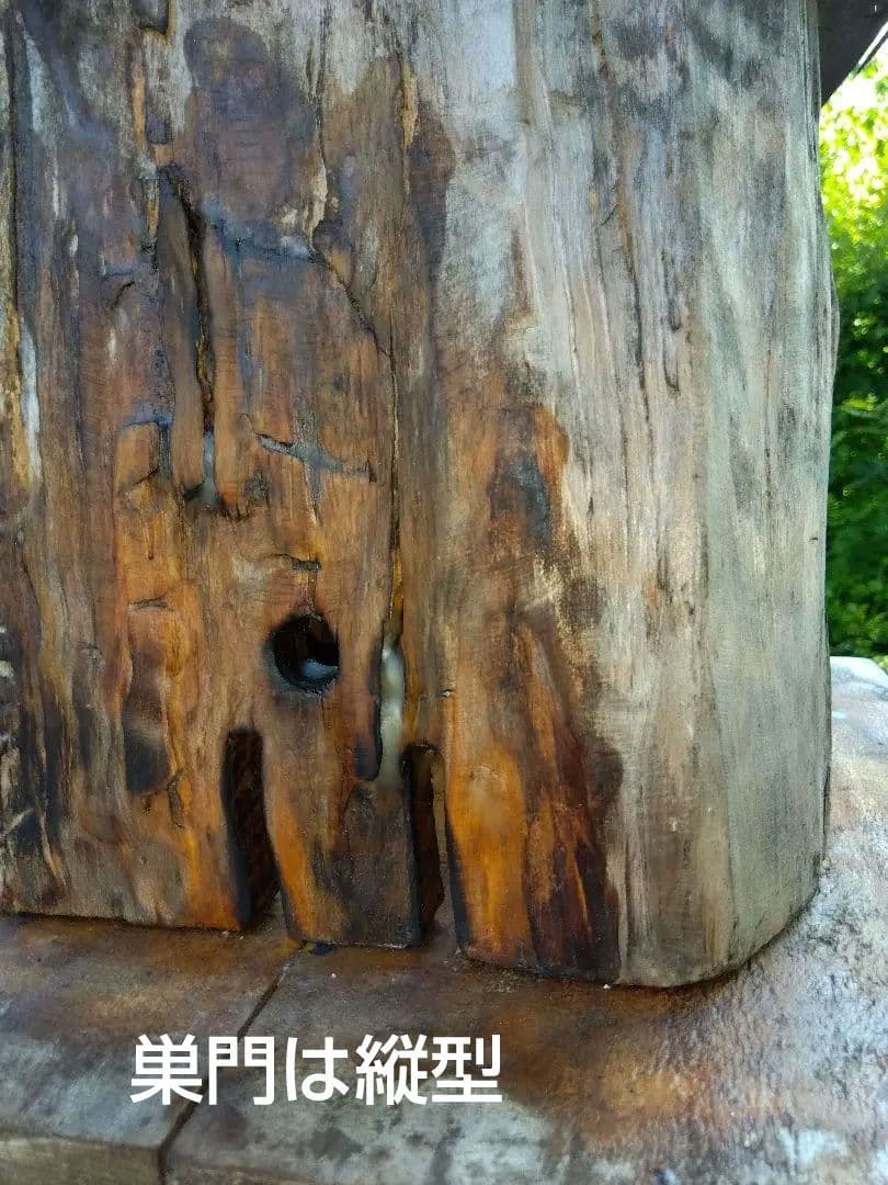 日本みつばち捕獲用トラップ