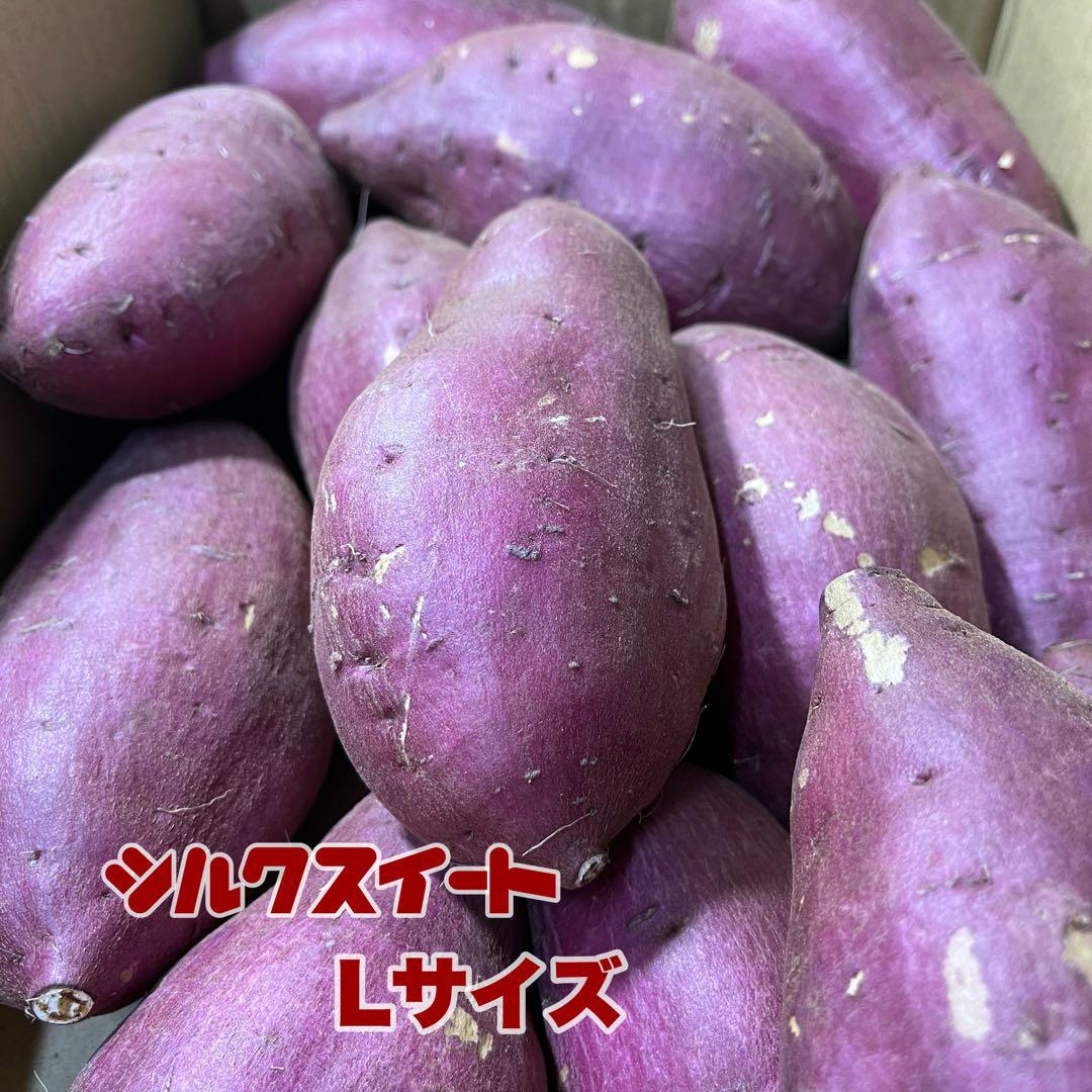 シルクスイート Lサイズ 20kg 千葉県産