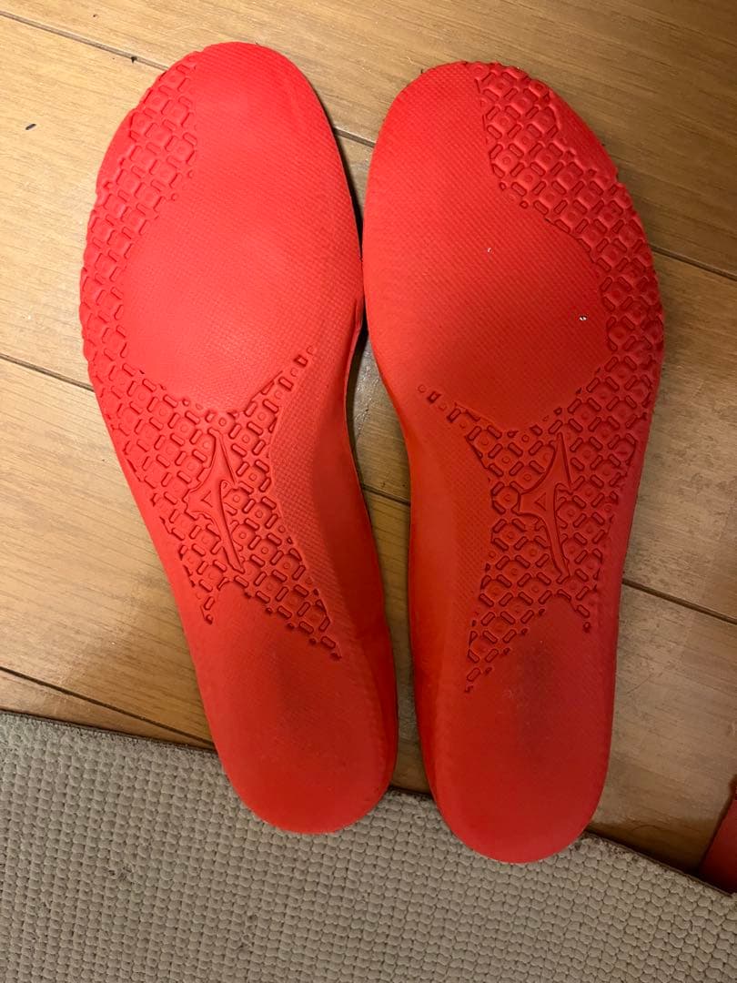 漆黒ブラック 激レア！ ミズノ BDSS 限定 バドミントン シューズ