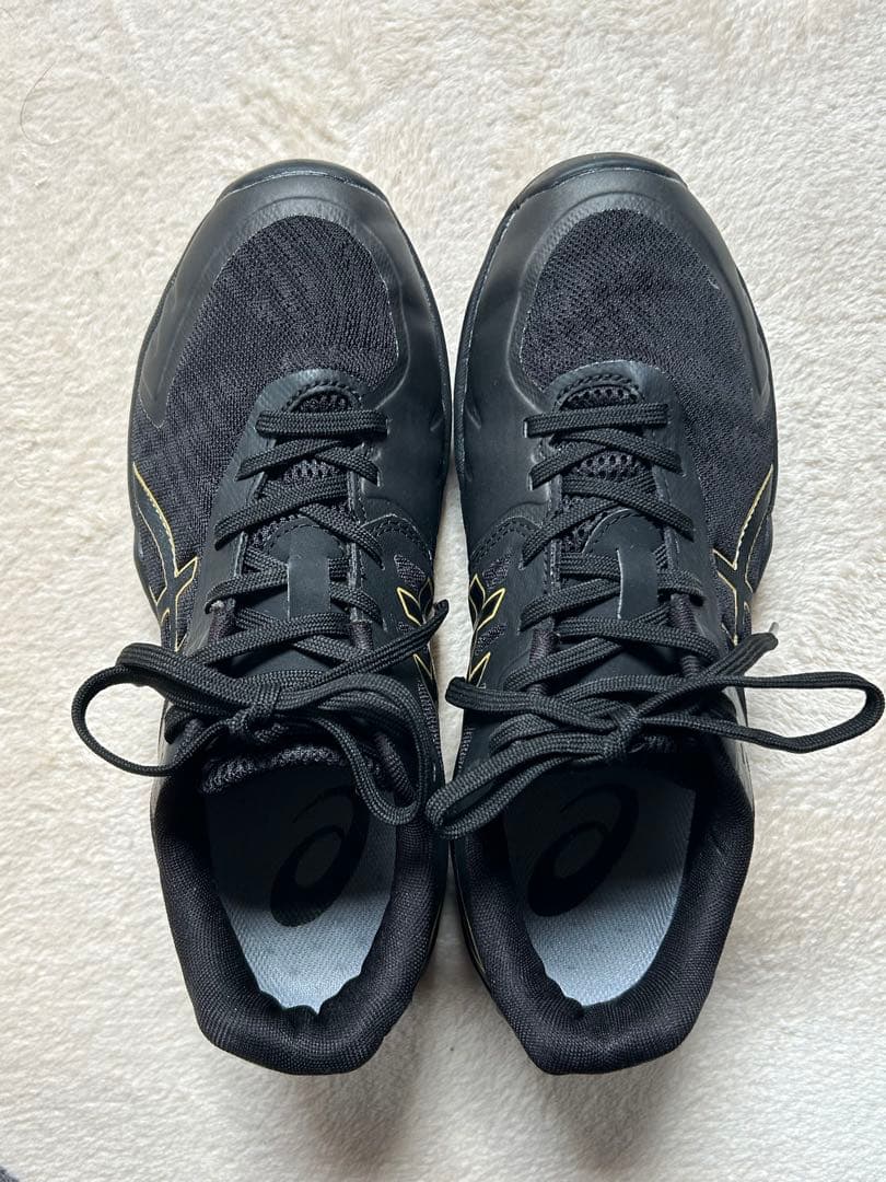 【アシックス】25cm V-SWIFT FF 3 LO エクストラワイド