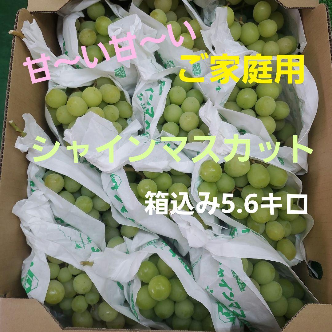 6️⃣ 山梨県産 シャインマスカット １２房入り 箱込み5.6キロ
