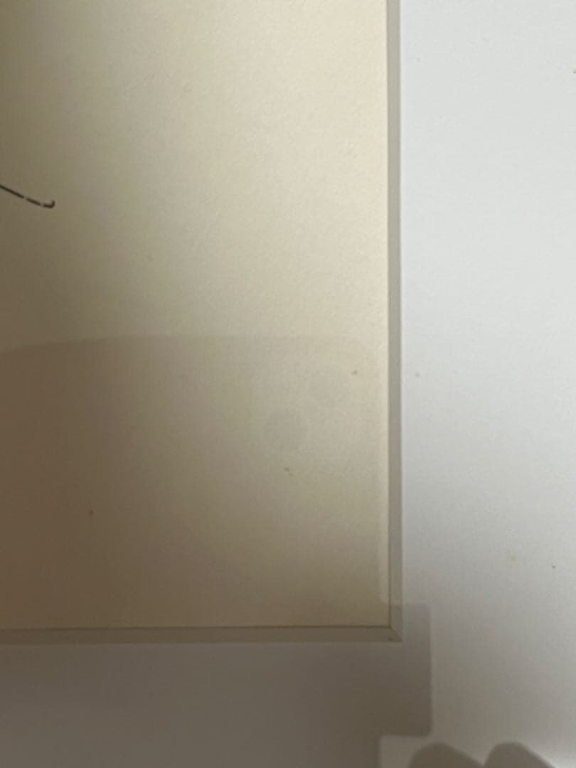 池田満寿夫 挿絵 フレーム付き