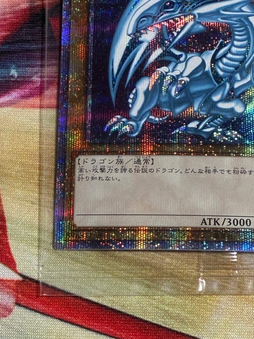 青眼の白龍　プリシク　未開封