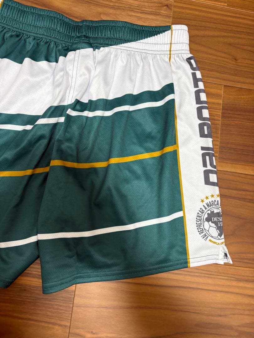 dalponte　ダウポンチ　バレーボール　ゲームパンツ　ショーツ　グリーン