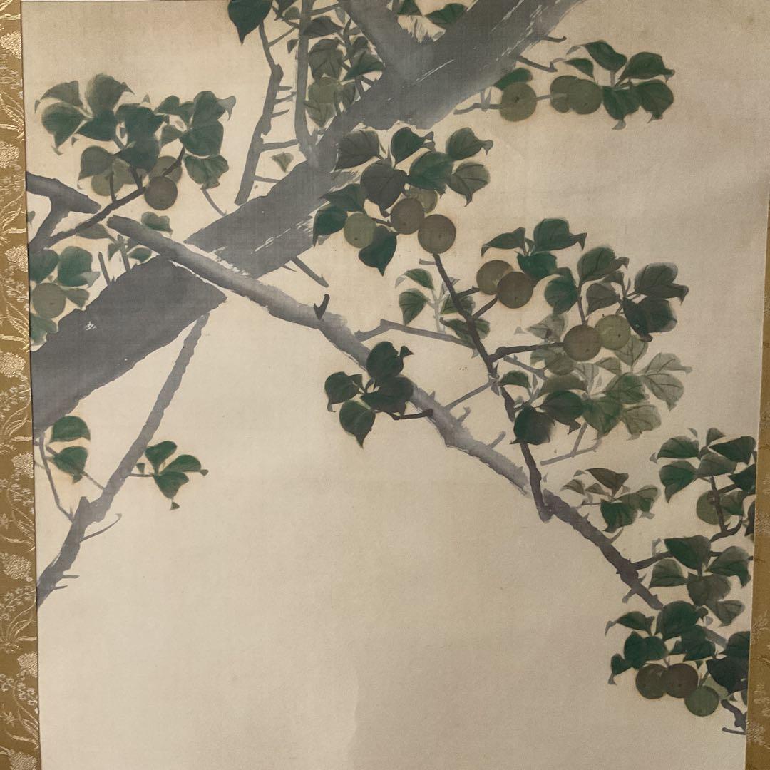 松村景文筆 複製掛軸復刻版 【青梅亀図 】 桐箱 タトウ箱付