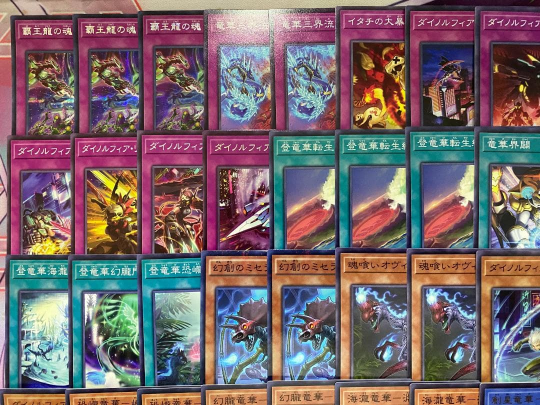 遊戯王　竜華　ダイノルフィア　本格構築済みデッキ