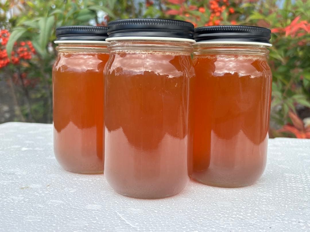 日本蜜蜂　蜂蜜　非加熱無調整純粋生ハチミツ