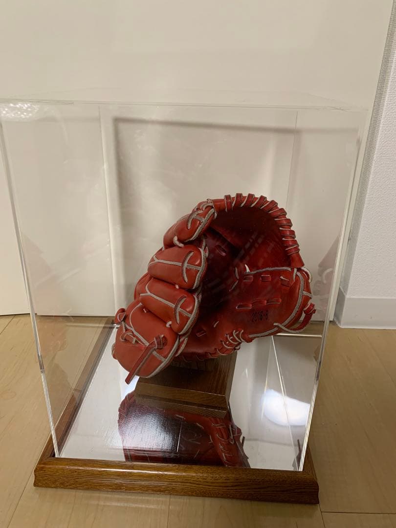 ヤクルトスワローズ 読売ジャイアンツ 田口麗斗 直筆サイン入りグローブ ケース付