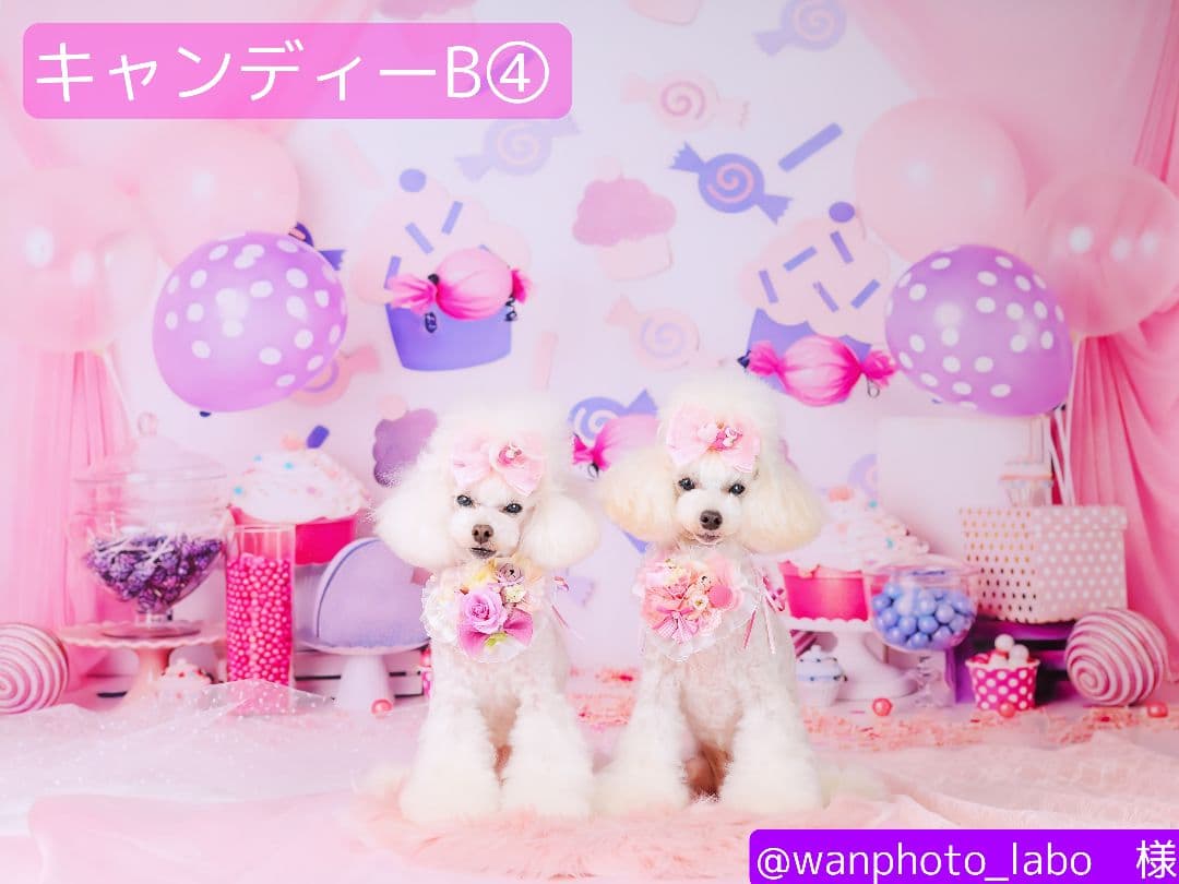 背景布　【　ハートH　】　サンプル　バレンタイン、ニューボーンなど♪