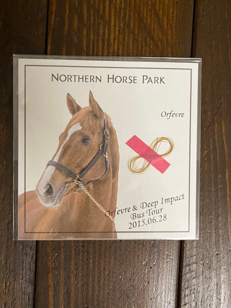 オルフェーヴル　たてがみ　2015年