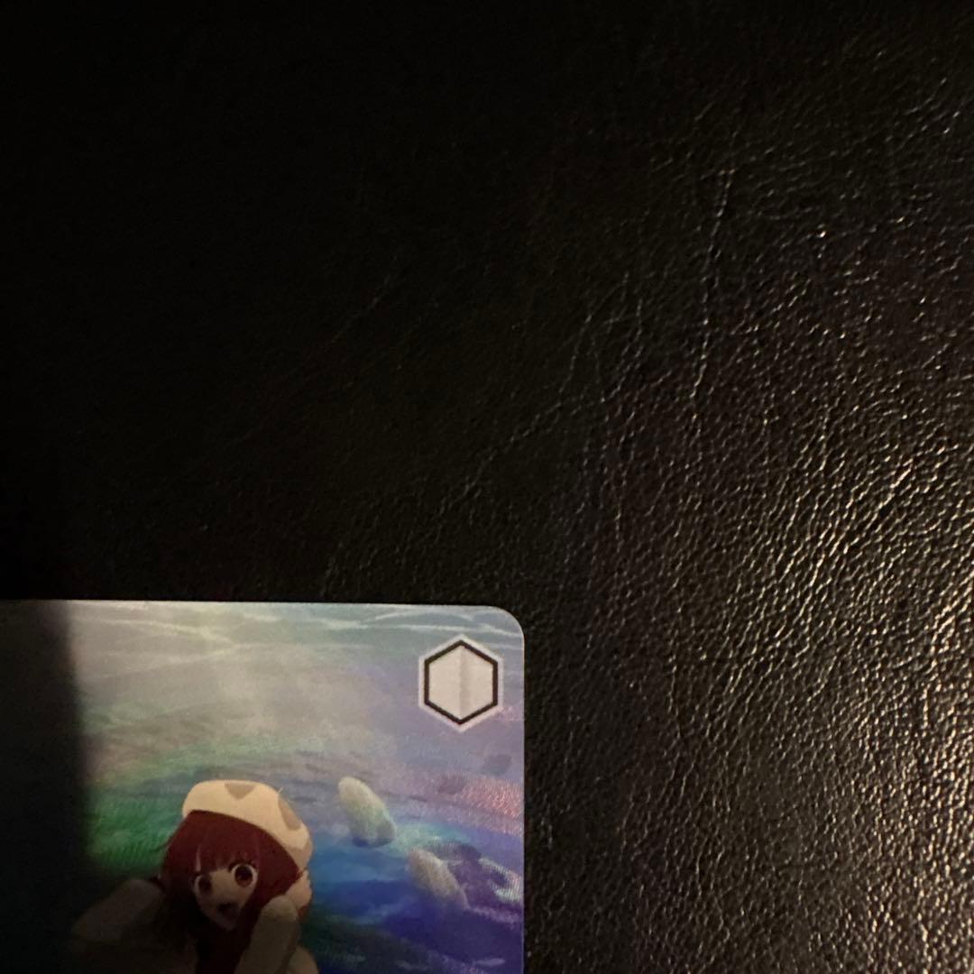 WS 水族館デート 有馬かな　SSP