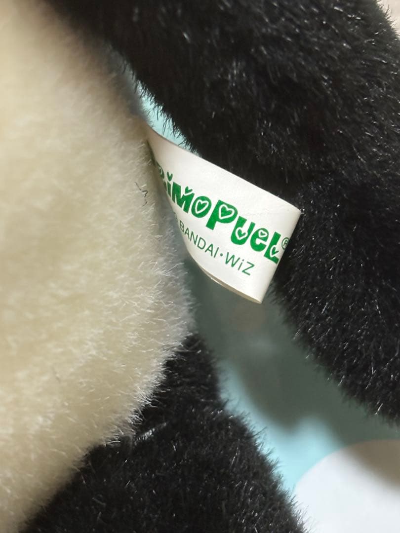 未使用？　プリモプエル　Ｃタイプ