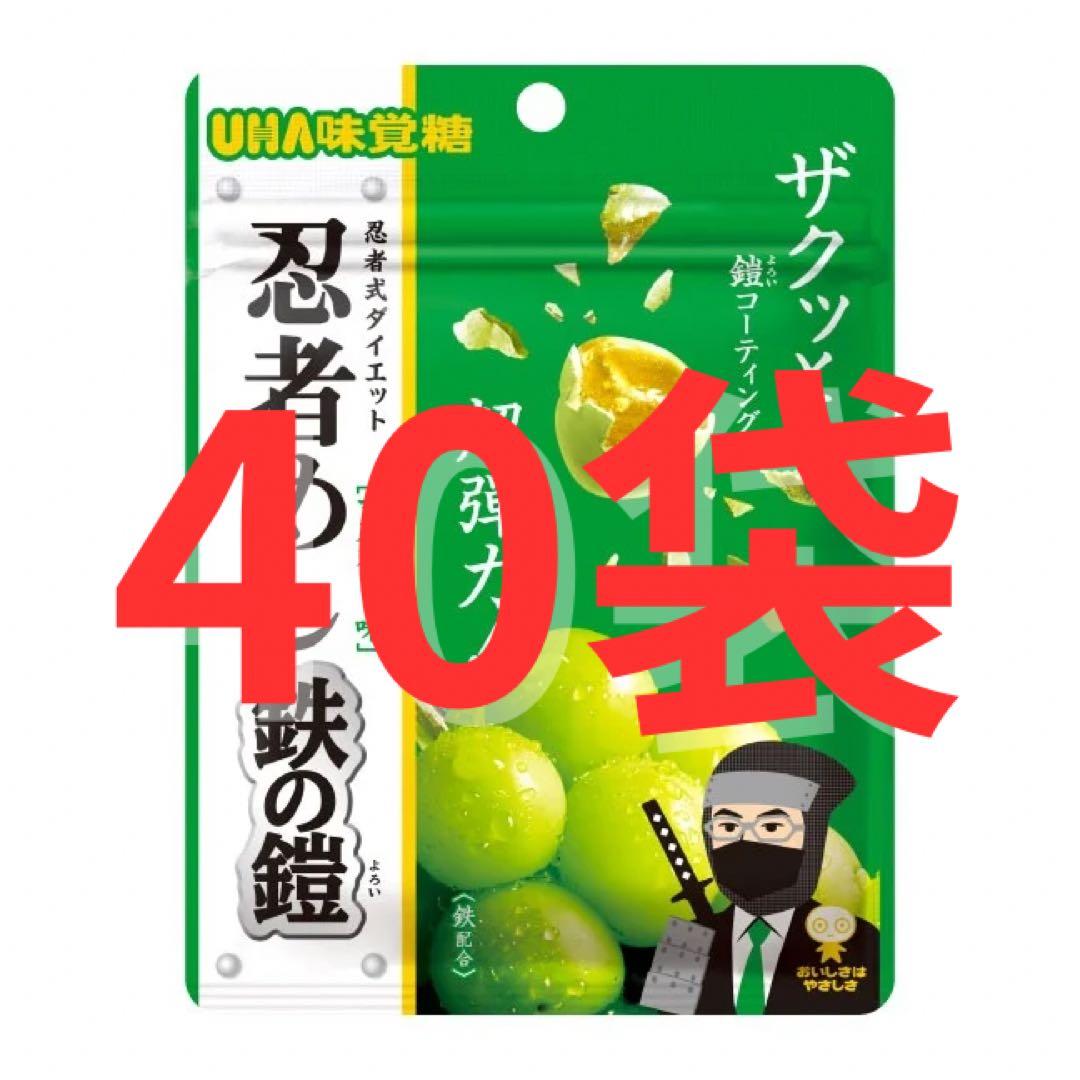 即日発送 新品未開封 忍者めし 鉄の鎧 マスカット味 40個セット