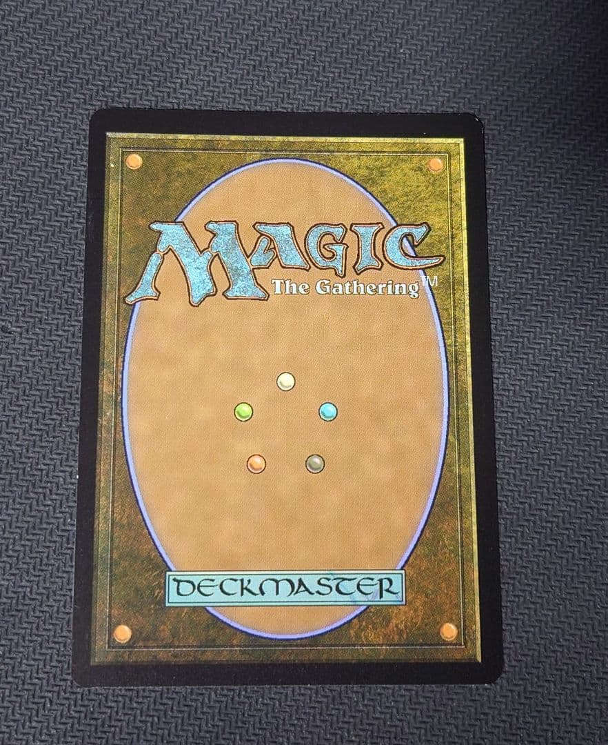 MTG　オセロットの群れ　ストアチャンピオンシップ