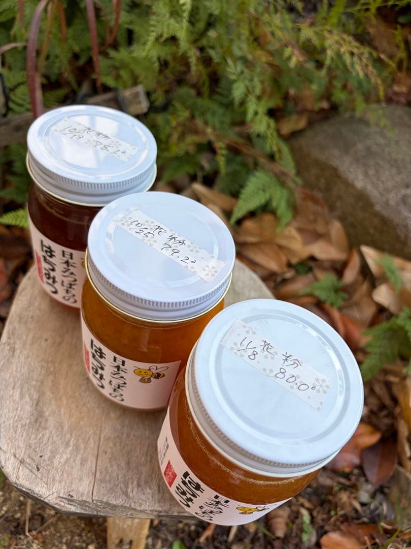 ハチミツ　日本蜜蜂の蜂蜜　花粉入りはちみつ　奥山の奥