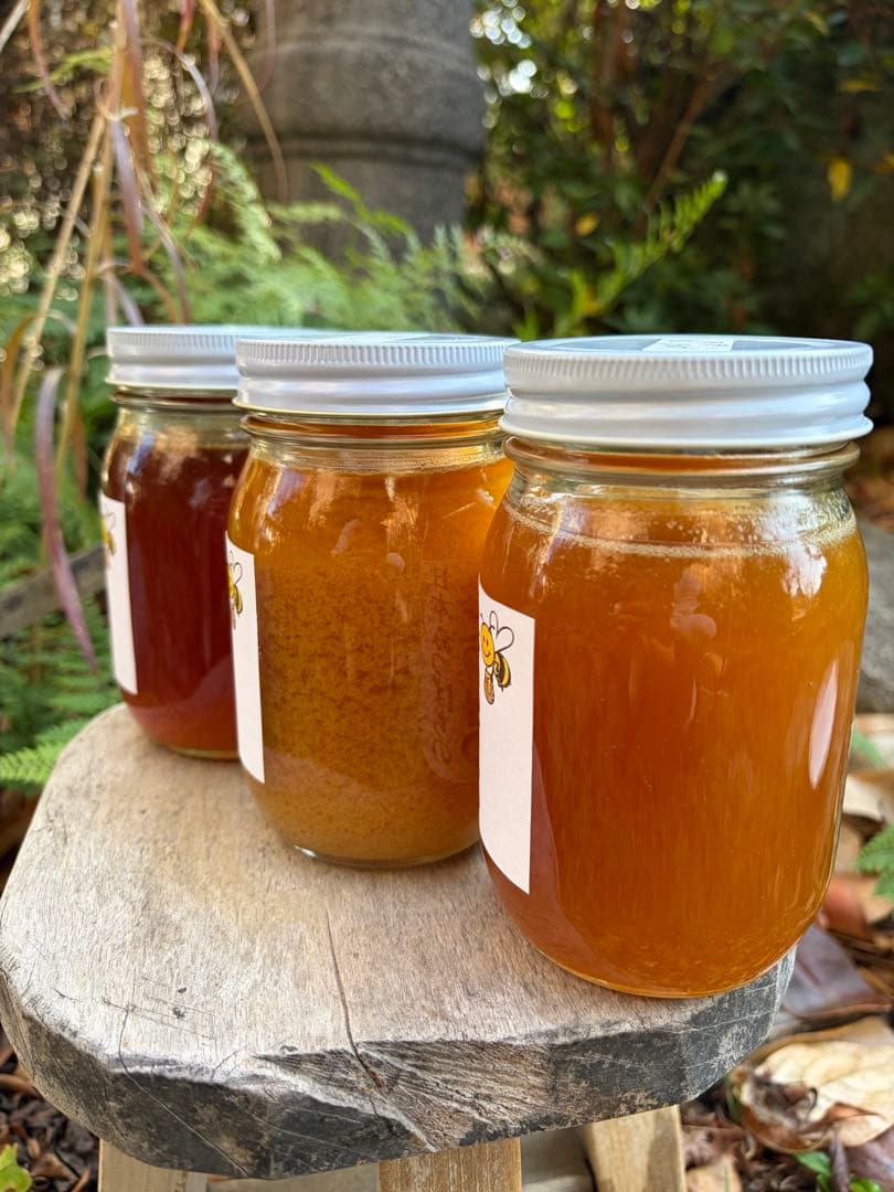 ハチミツ　日本蜜蜂の蜂蜜　花粉入りはちみつ　奥山の奥