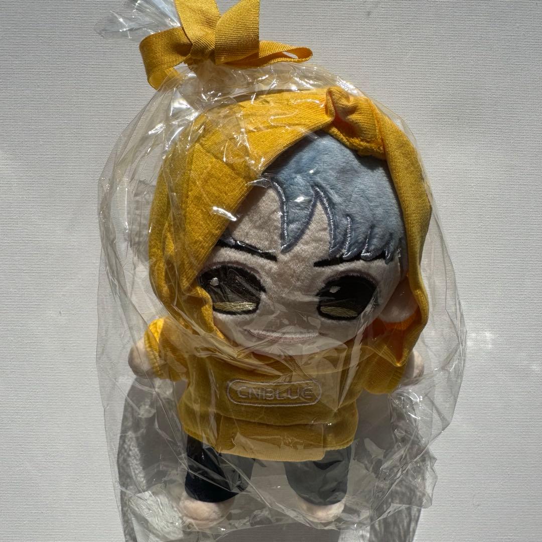 CNBLUE 10th anniversary ヨンファ ミンヒョク ジョンシン