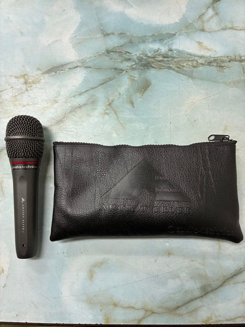 audio-technica AE6100 ダイナミックマイク 専用ケース付き