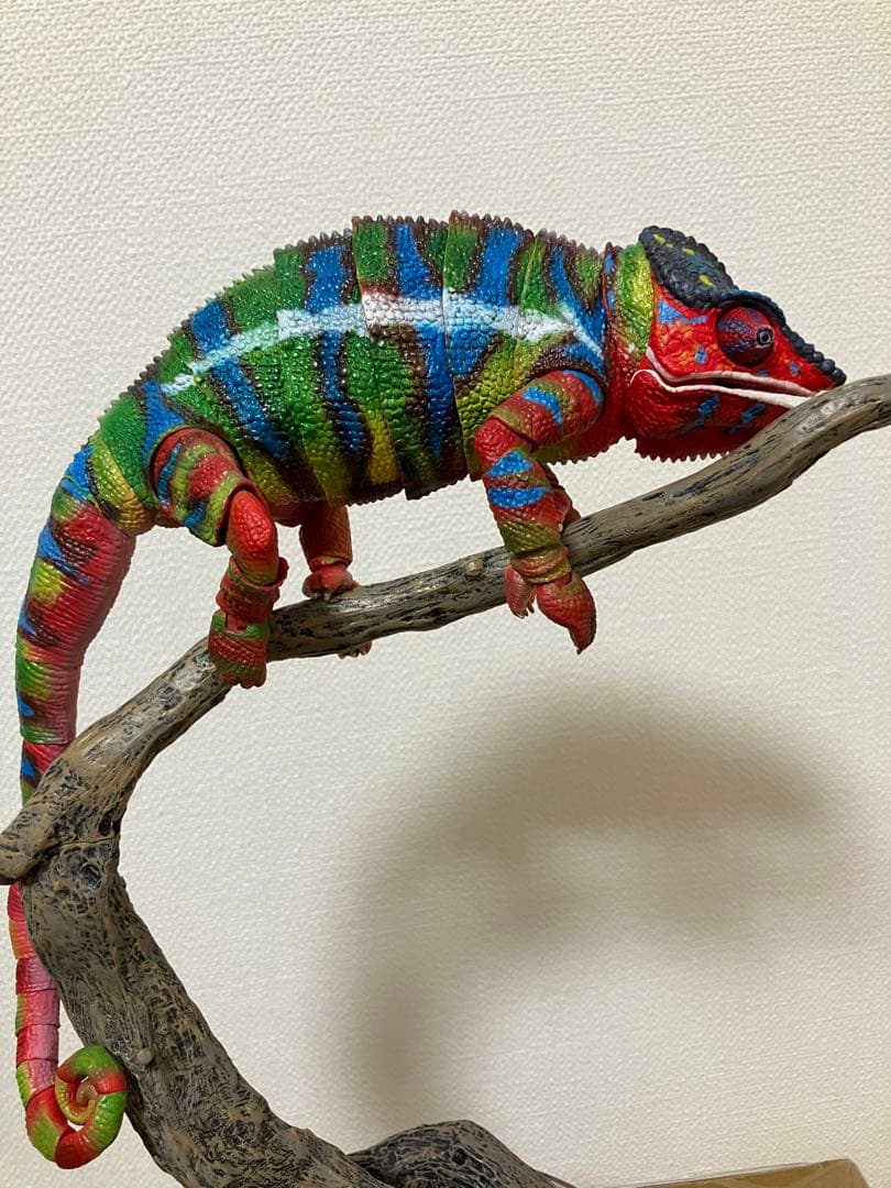 いきもの大図鑑プレミアム　パンサーカメレオン（アンビローブ・グリーン) 開封品