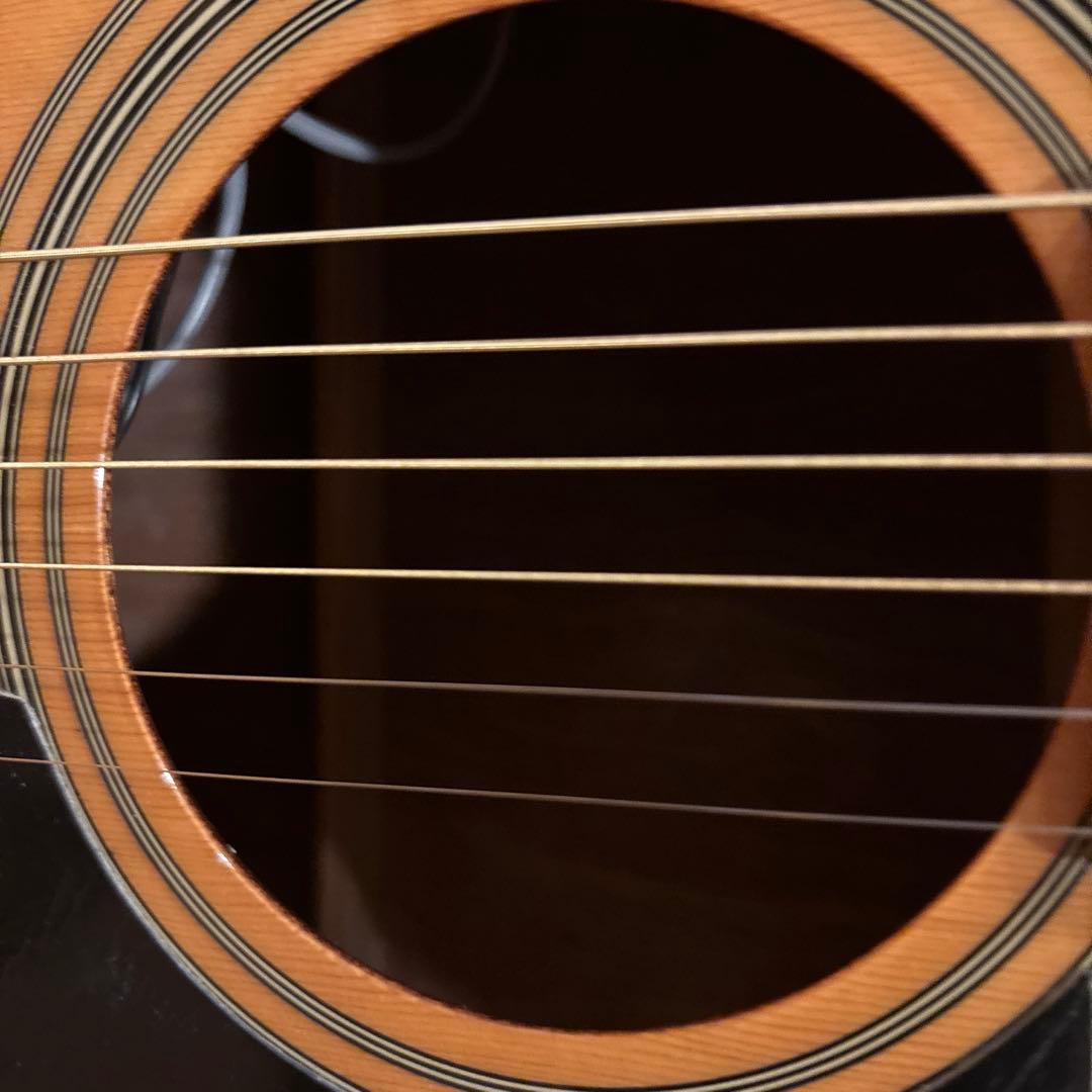 希少 Takamine エアコギター ゴールドパーツ仕様 新品弦張替済
