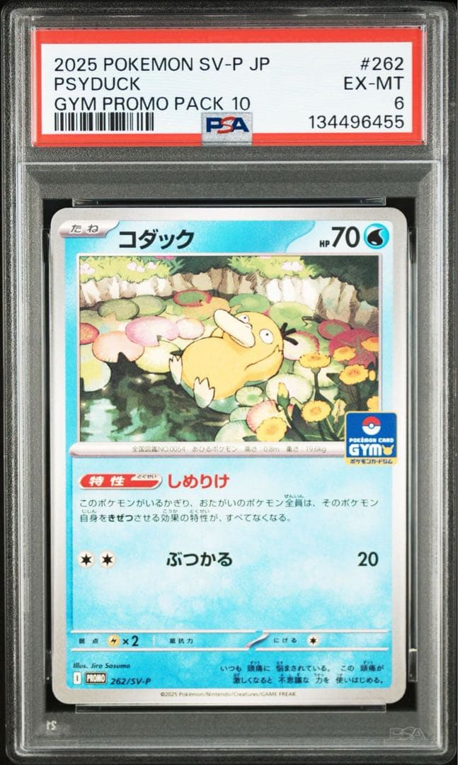 2025 ポケモン コダック GYM PROMO PSA10、6二枚セット鑑定品