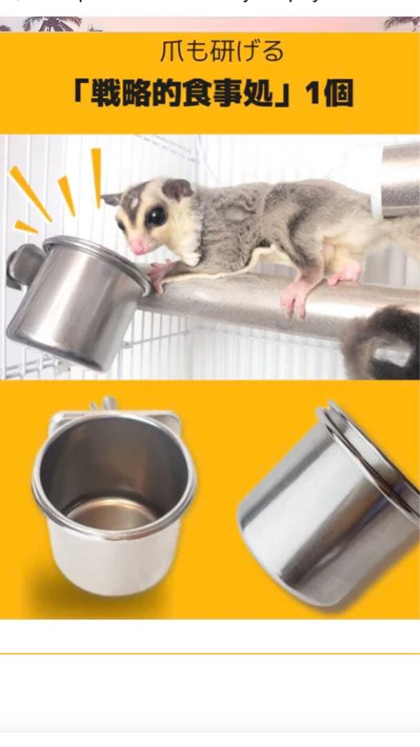 フクロモモンガ飼育用　一式セット（のびも15