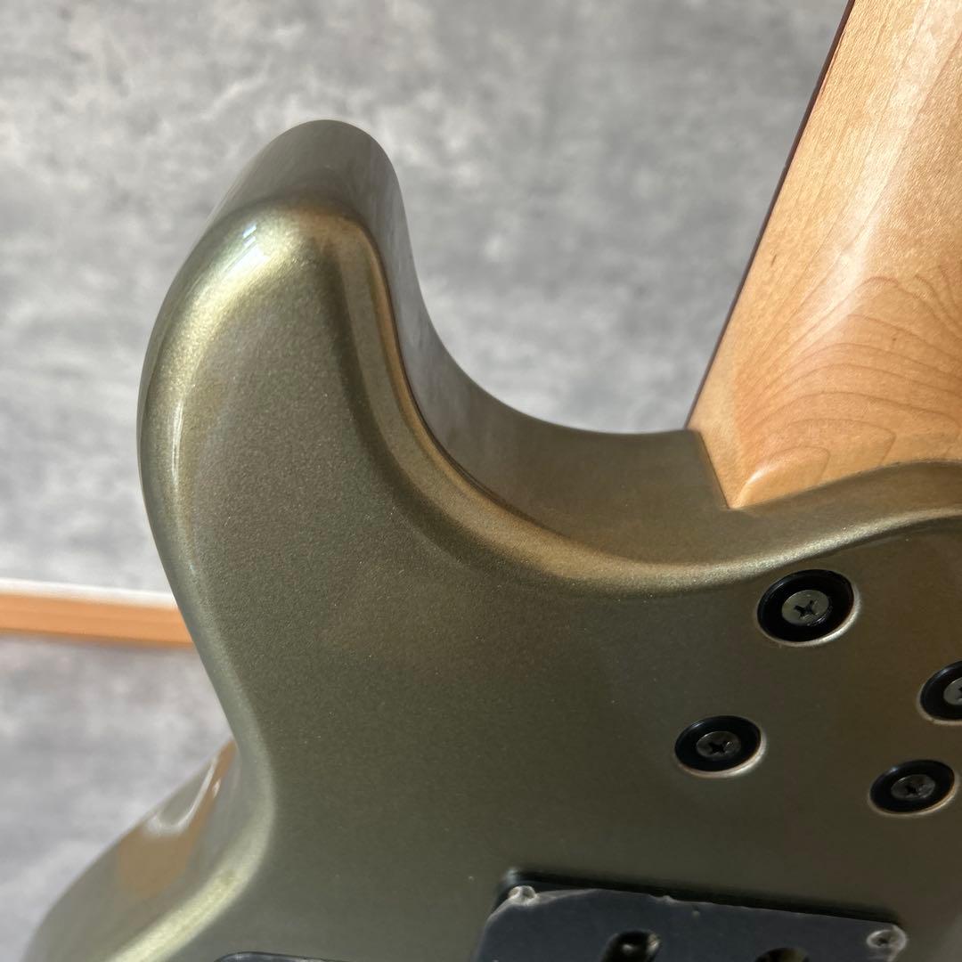 Fernandes APG-65S サスティナー搭載