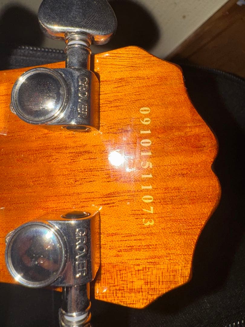 エピフォン　レスポールスタンダード　ローラーブリッジ　純正付属