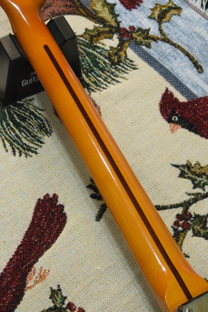 ギター Bill's Brothers EXCELLENT MAD CAT