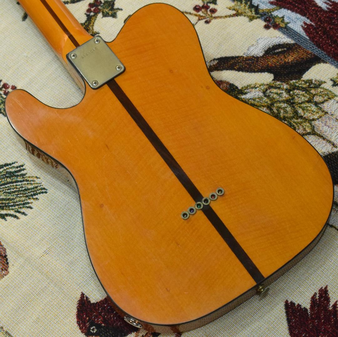 ギター Bill's Brothers EXCELLENT MAD CAT