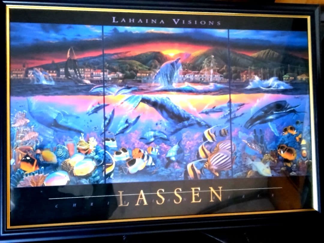 LASSEN (中古品) LAHAINA VISION 額付き